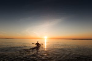 kayak rentals, paddle board rental