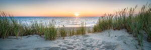 Things to do on Isle Of Palms